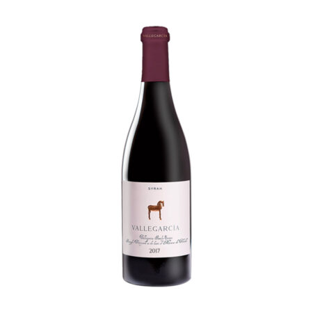 Vallegarcía Syrah