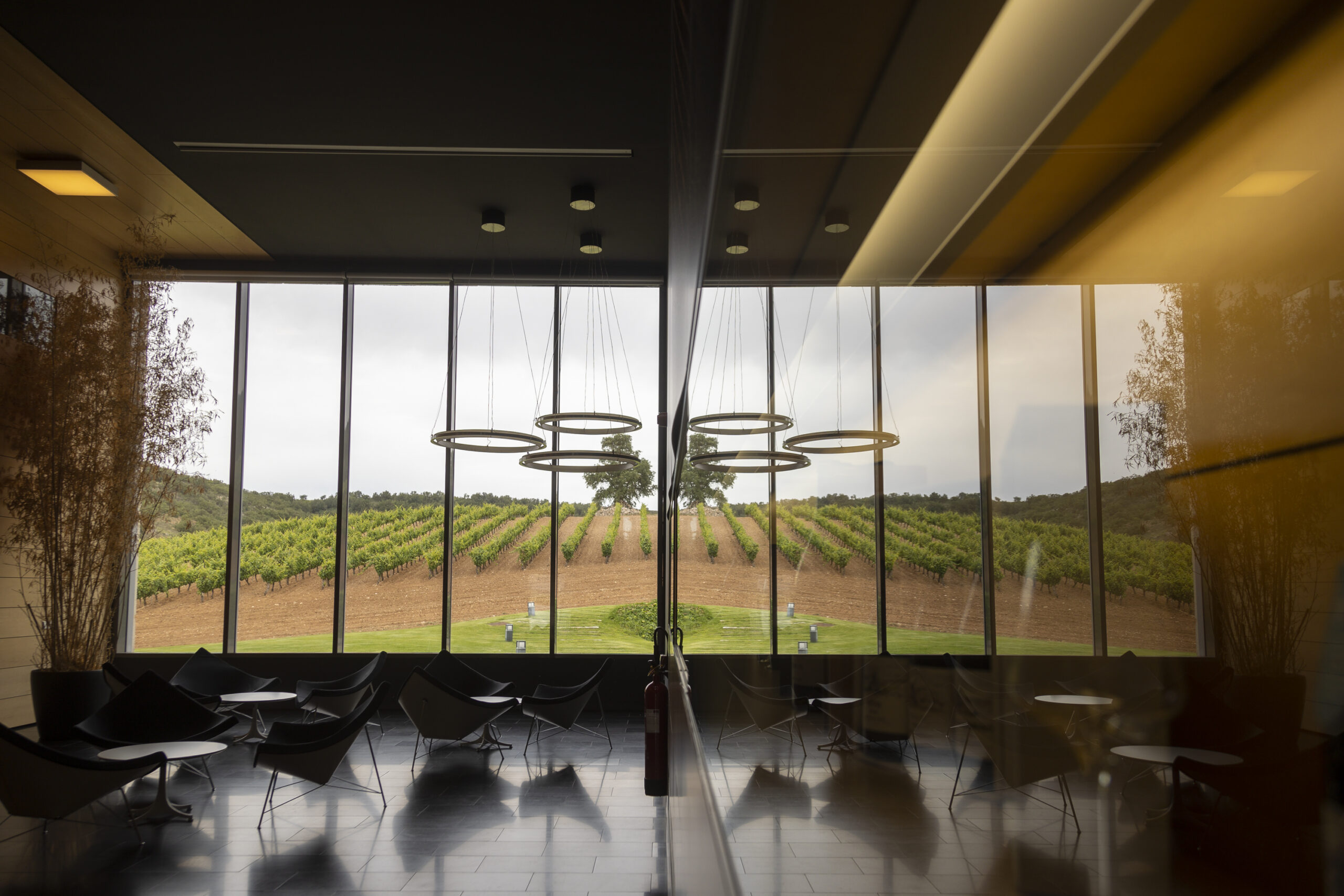 UNABODEGADIFERENCIAL