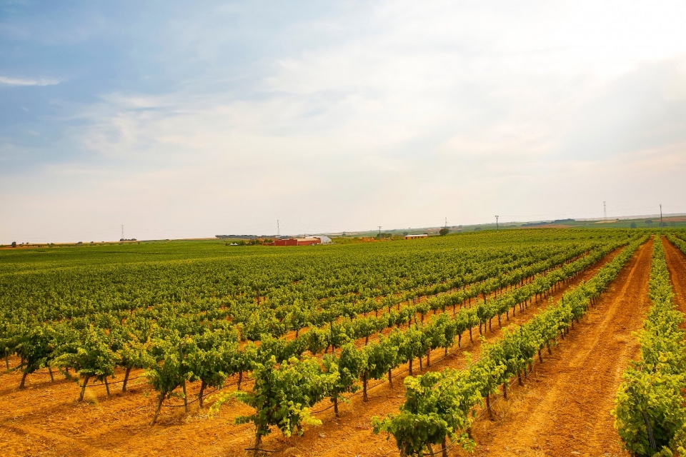 pre-63738-img-20190510-wa0048